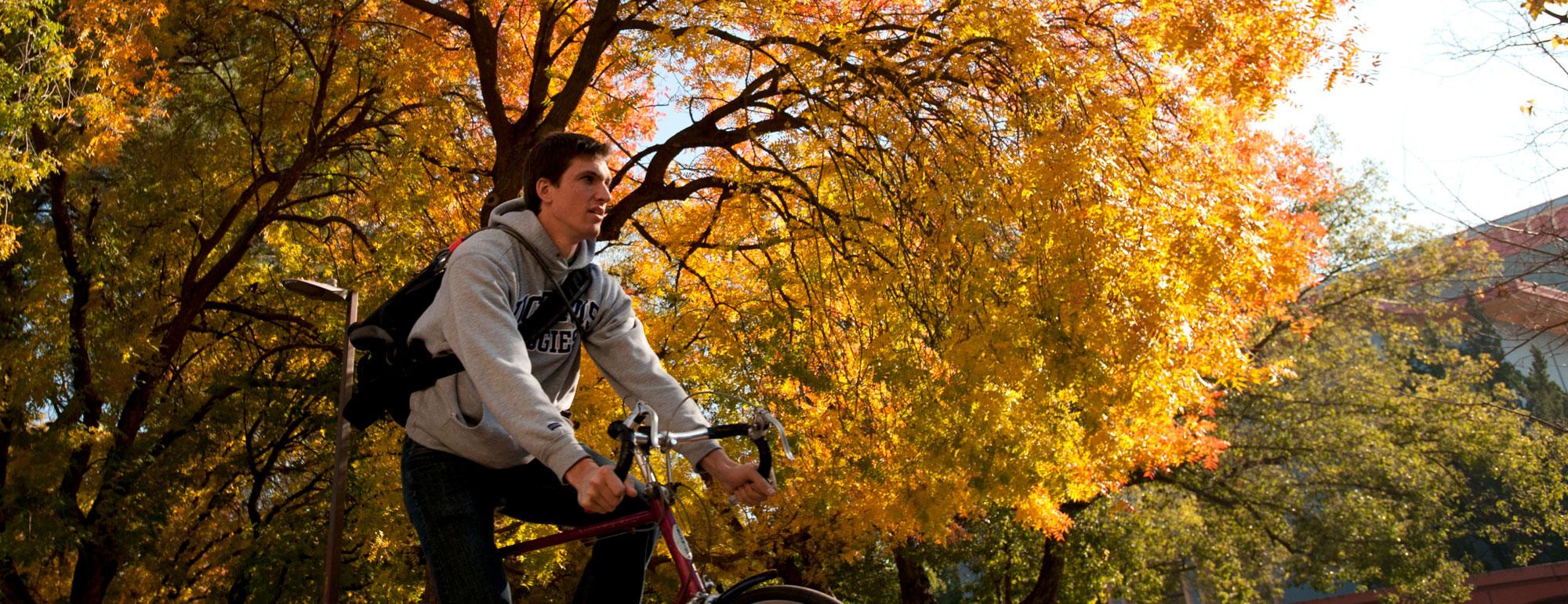 A male student rides his bicycle under the Fall foliage on the TV campus