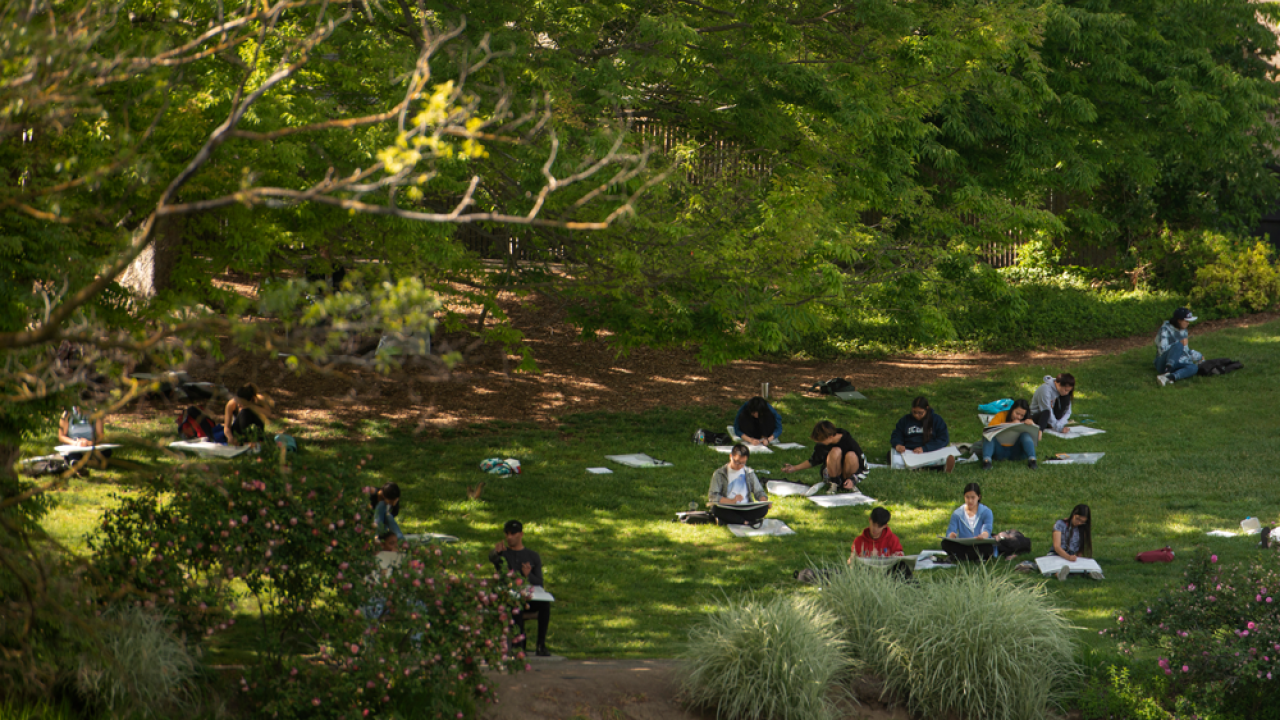 students studying under the trees in the TV Arboretum