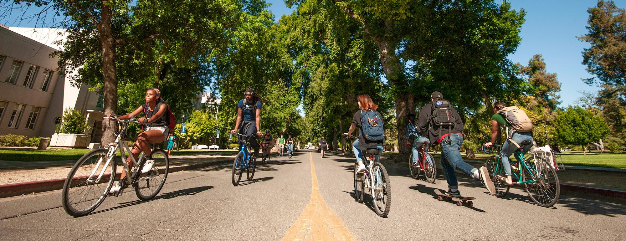 Students riding bicycles on west quad TV